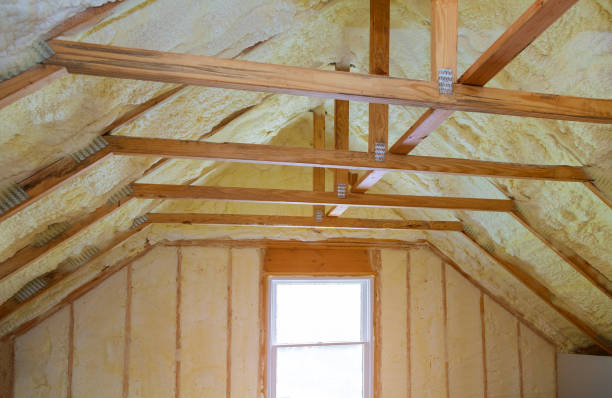 Types of Insulation We Offer in FL